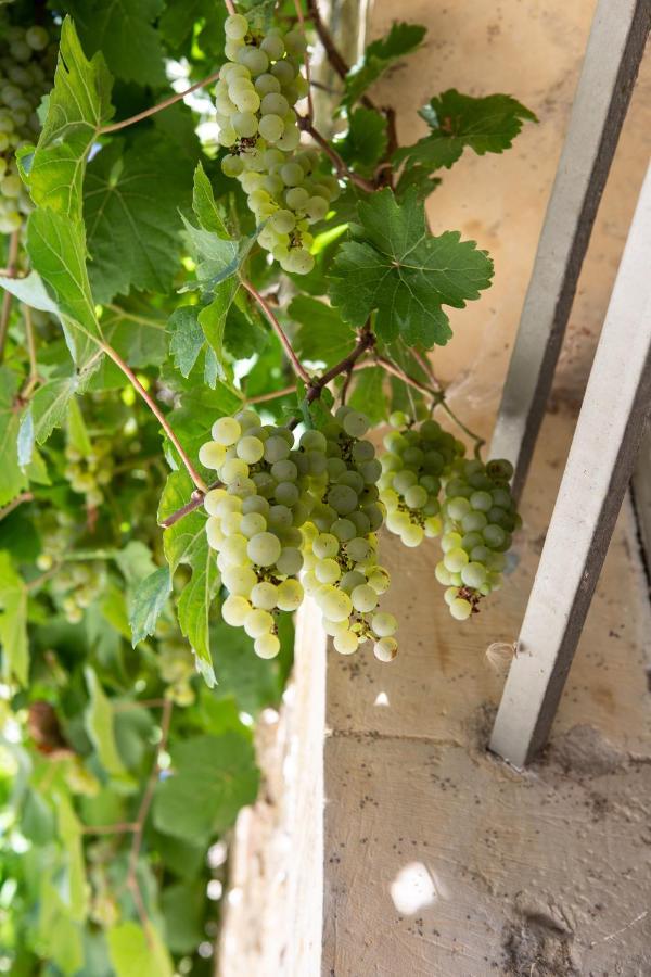 La Ferme De Planchevienne Bed & Breakfast Magny-Cours Bagian luar foto